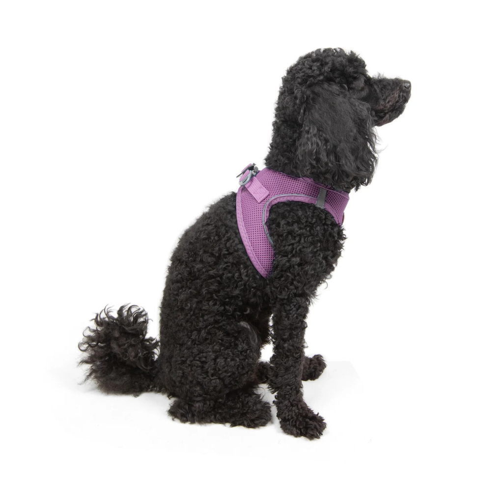 Tailpetz Air-Mesh Harness Köpek Göğüs Tasması (Lila) [XS]