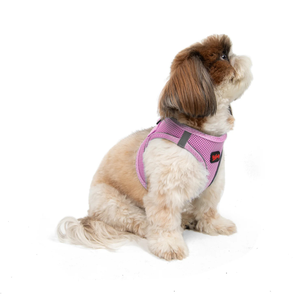 Tailpetz Air-Mesh Harness Köpek Göğüs Tasması (Lila) [S]
