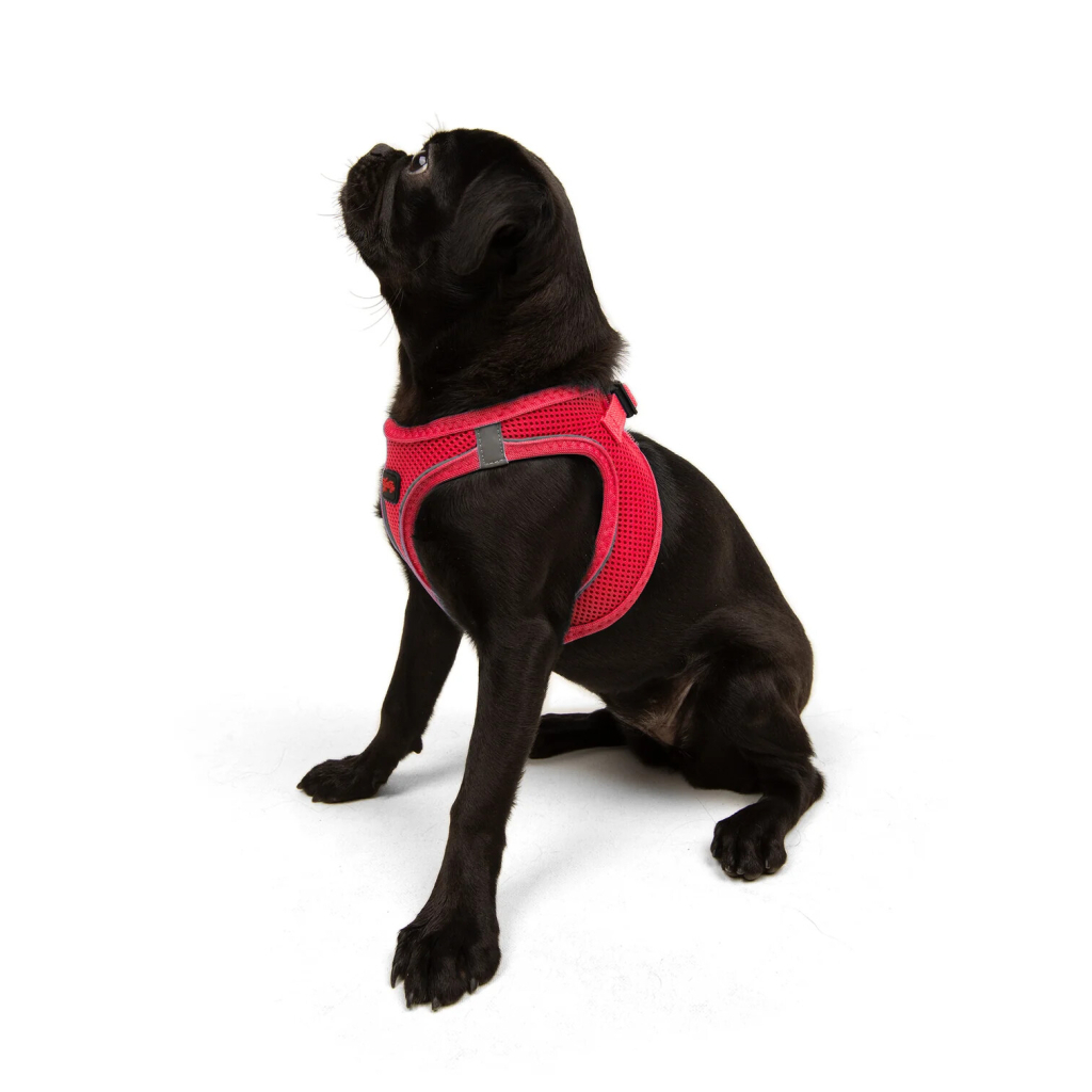 Tailpetz Air-Mesh Harness Köpek Göğüs Tasması (Kırmızı) [M]