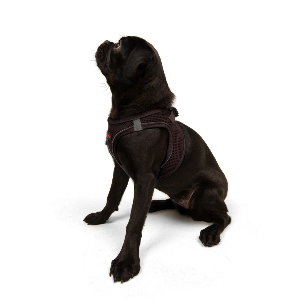 Tailpetz Air-Mesh Harness Köpek Göğüs Tasması (Kahverengi) [M]