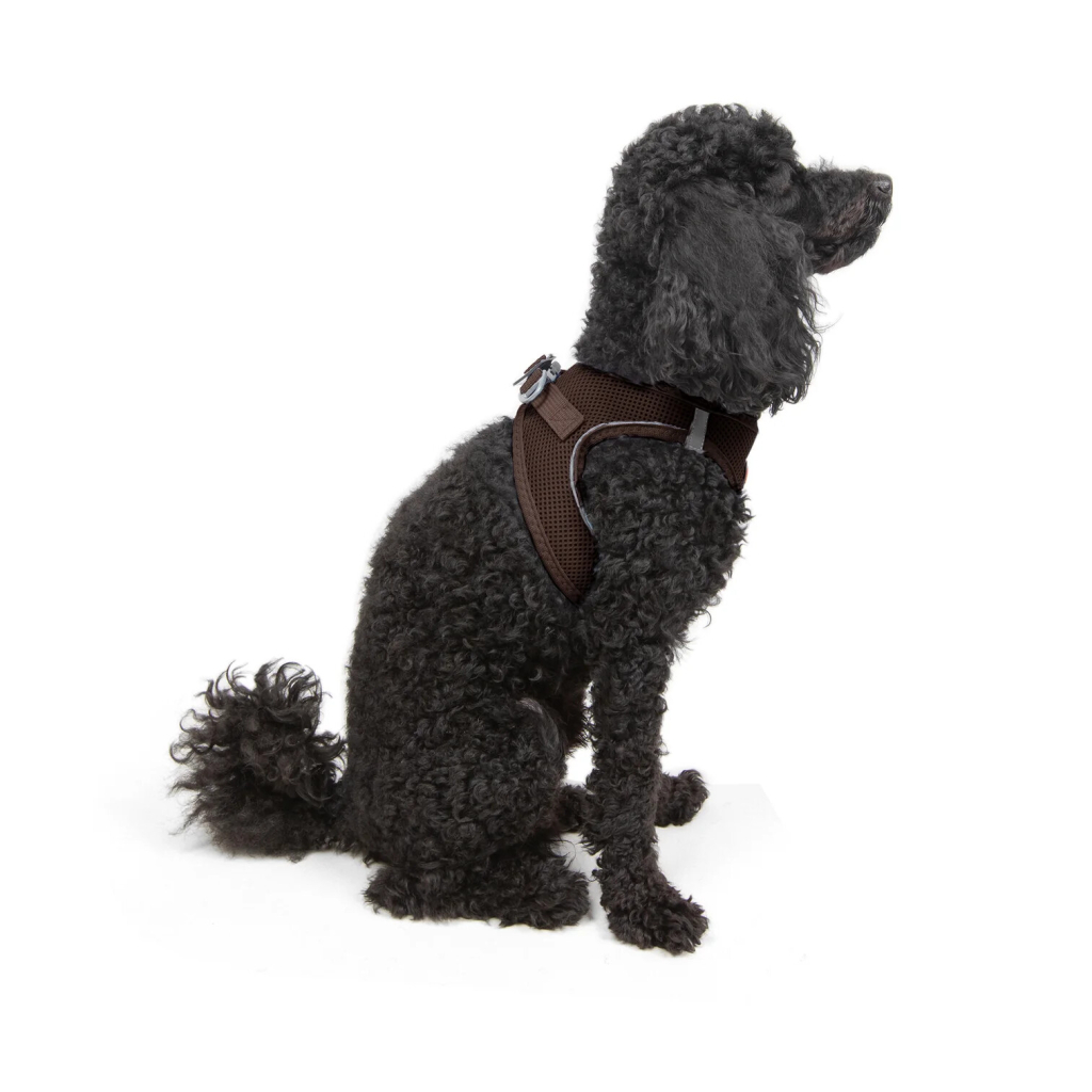 Tailpetz Air-Mesh Harness Köpek Göğüs Tasması (Kahverengi) [XS]