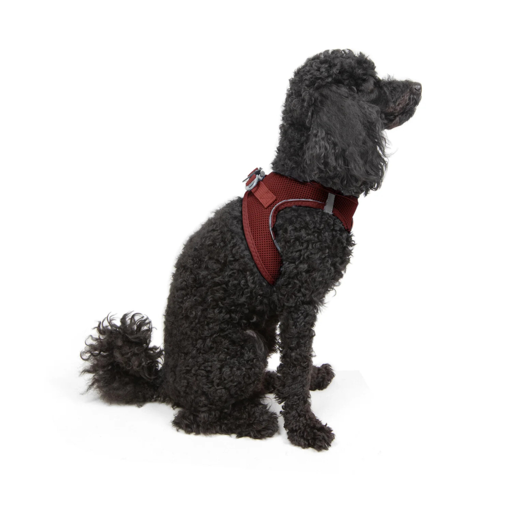Tailpetz Air-Mesh Harness Köpek Göğüs Tasması (Bordo) [XS]