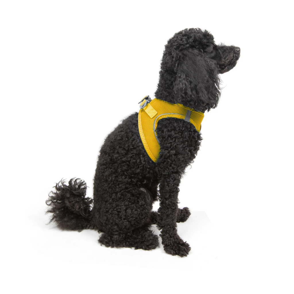 Tailpetz Air-Mesh Harness Köpek Göğüs Tasması (Sarı) [XS]