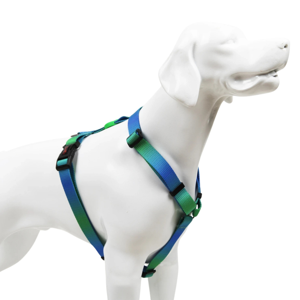 Tailpetz H-Tipi Göğüs Tasması (Amazon) [S]