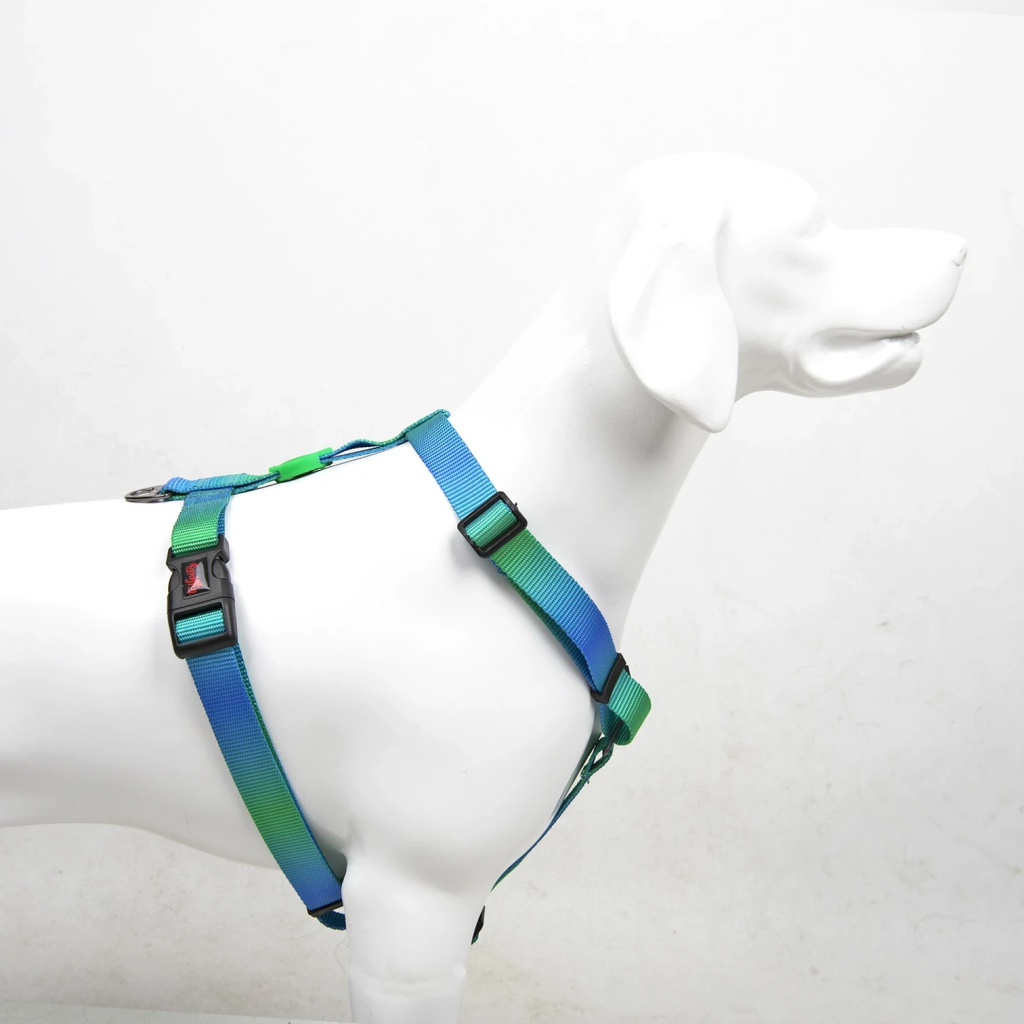 Tailpetz H-Tipi Göğüs Tasması (Amazon) [S]