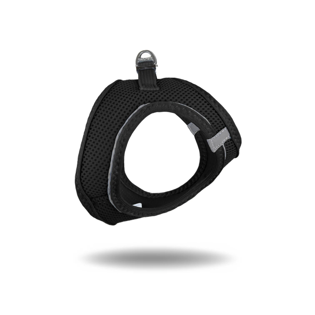 Tailpetz Air-Mesh Küçük Irk Köpek Göğüs Tasması 48-54cm (Siyah) [L]