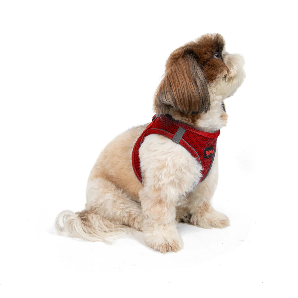 Tailpetz Air-Mesh Küçük Irk Köpek Göğüs Tasması 32-36cm (Kırmızı) [XS]