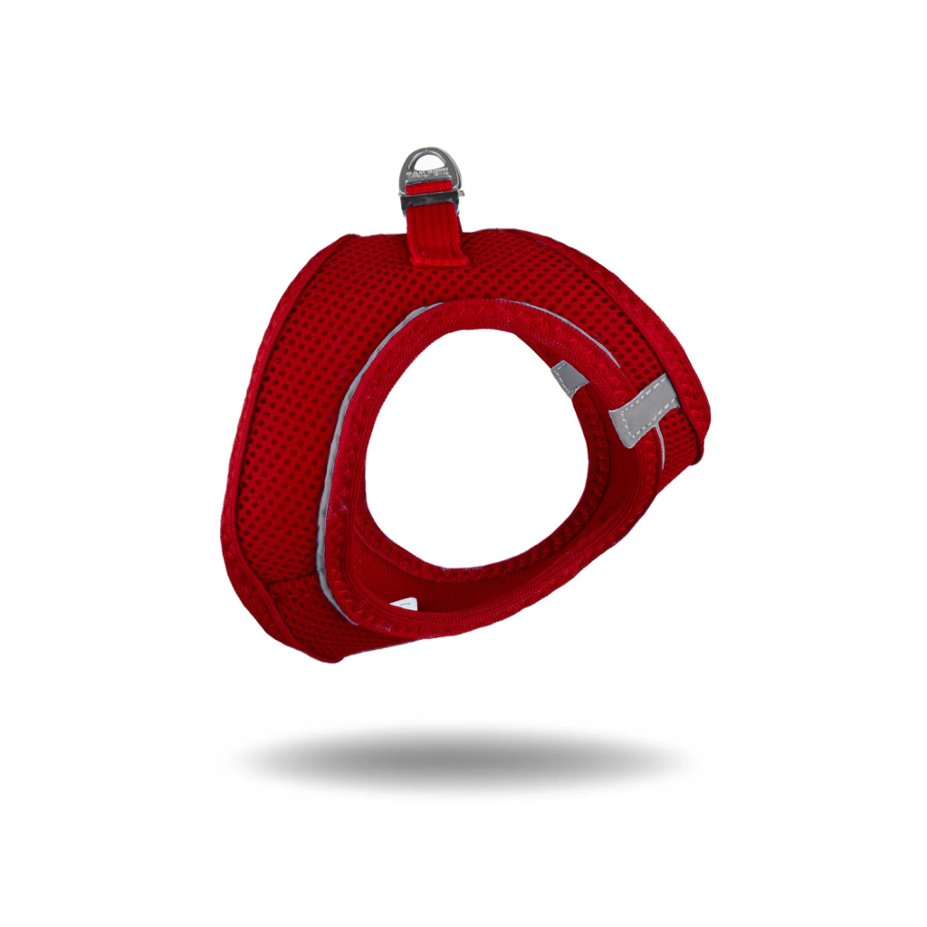 Tailpetz Air-Mesh Küçük Irk Köpek Göğüs Tasması 36-44cm (Kırmızı) [S]
