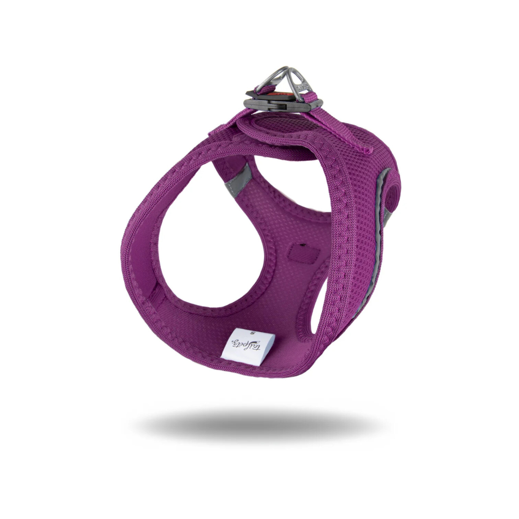 Tailpetz Air-Mesh Küçük Irk Köpek Göğüs Tasması 44-48cm (Mor) [M]