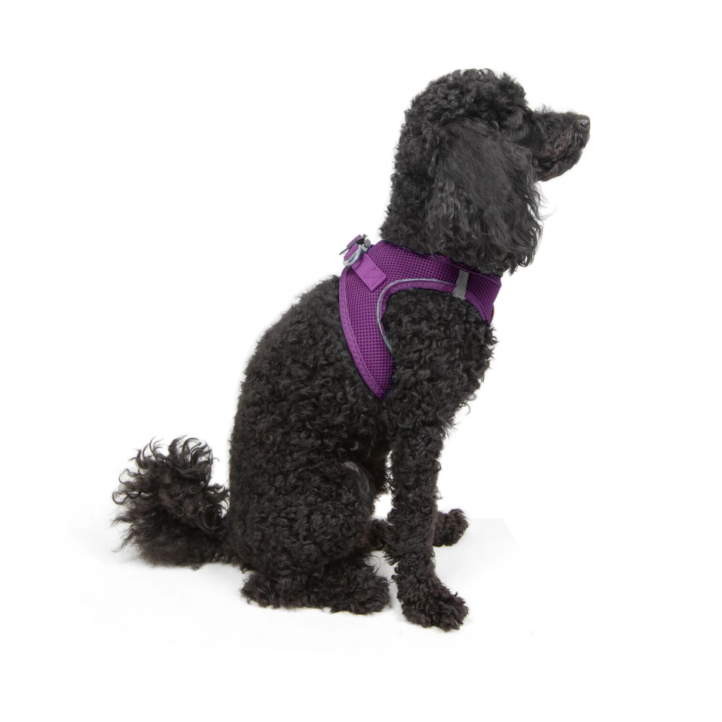 Tailpetz Air-Mesh Küçük Irk Köpek Göğüs Tasması 32-36cm (Mor) [XS]