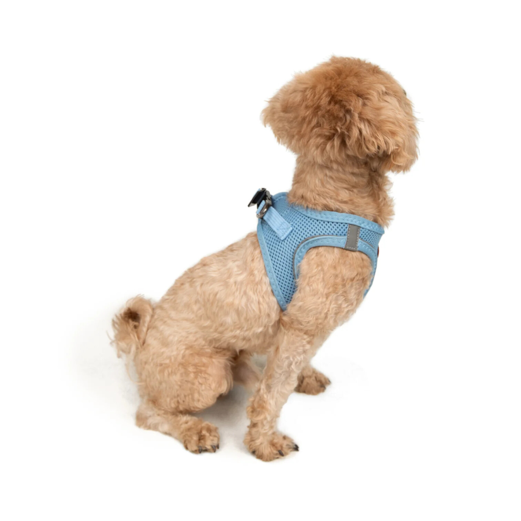 Tailpetz Air-Mesh Küçük Irk Köpek Göğüs Tasması 24-28cm (Açık Mavi) [3XS]