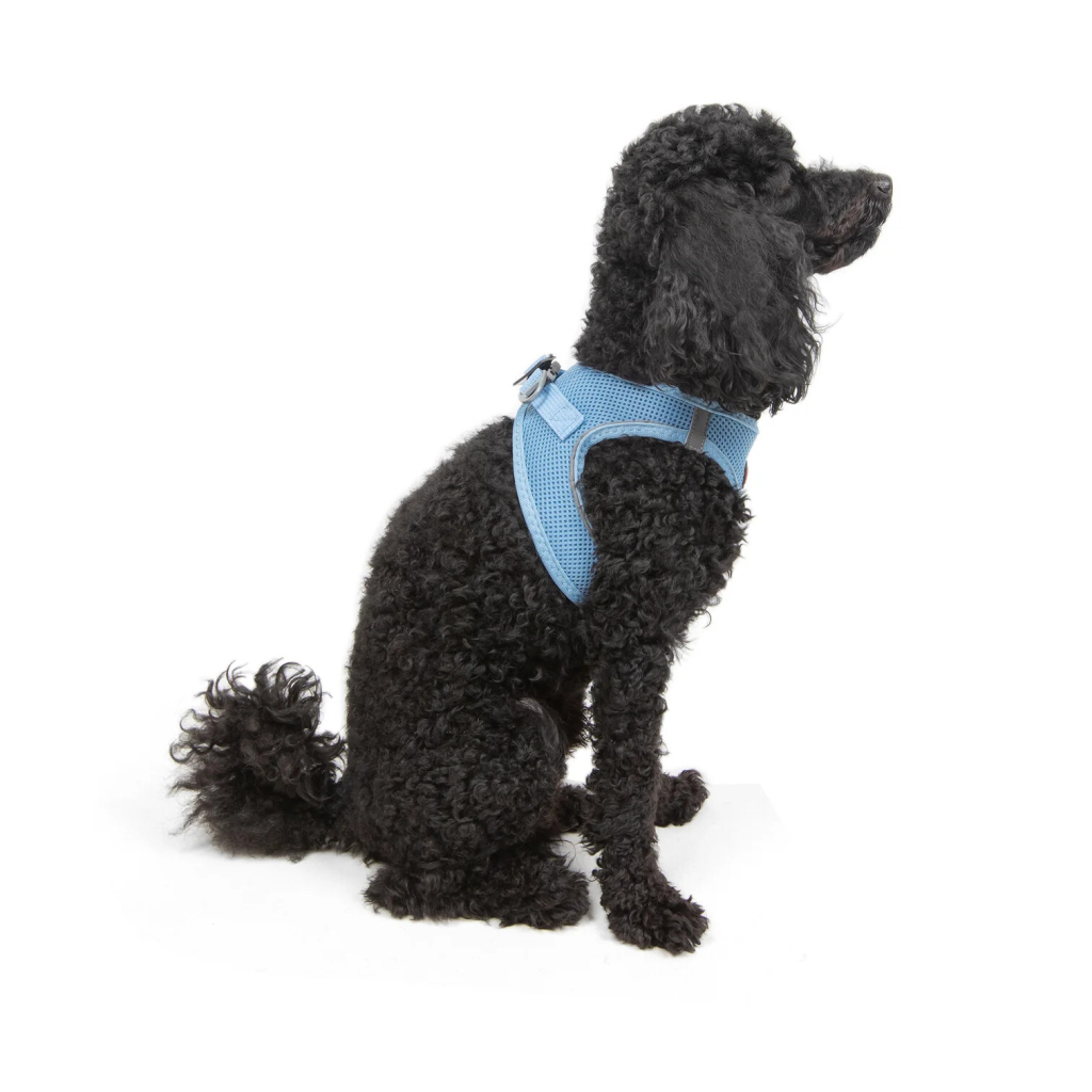 Tailpetz Air-Mesh Küçük Irk Köpek Göğüs Tasması 32-36cm (Açık Mavi) [XS]