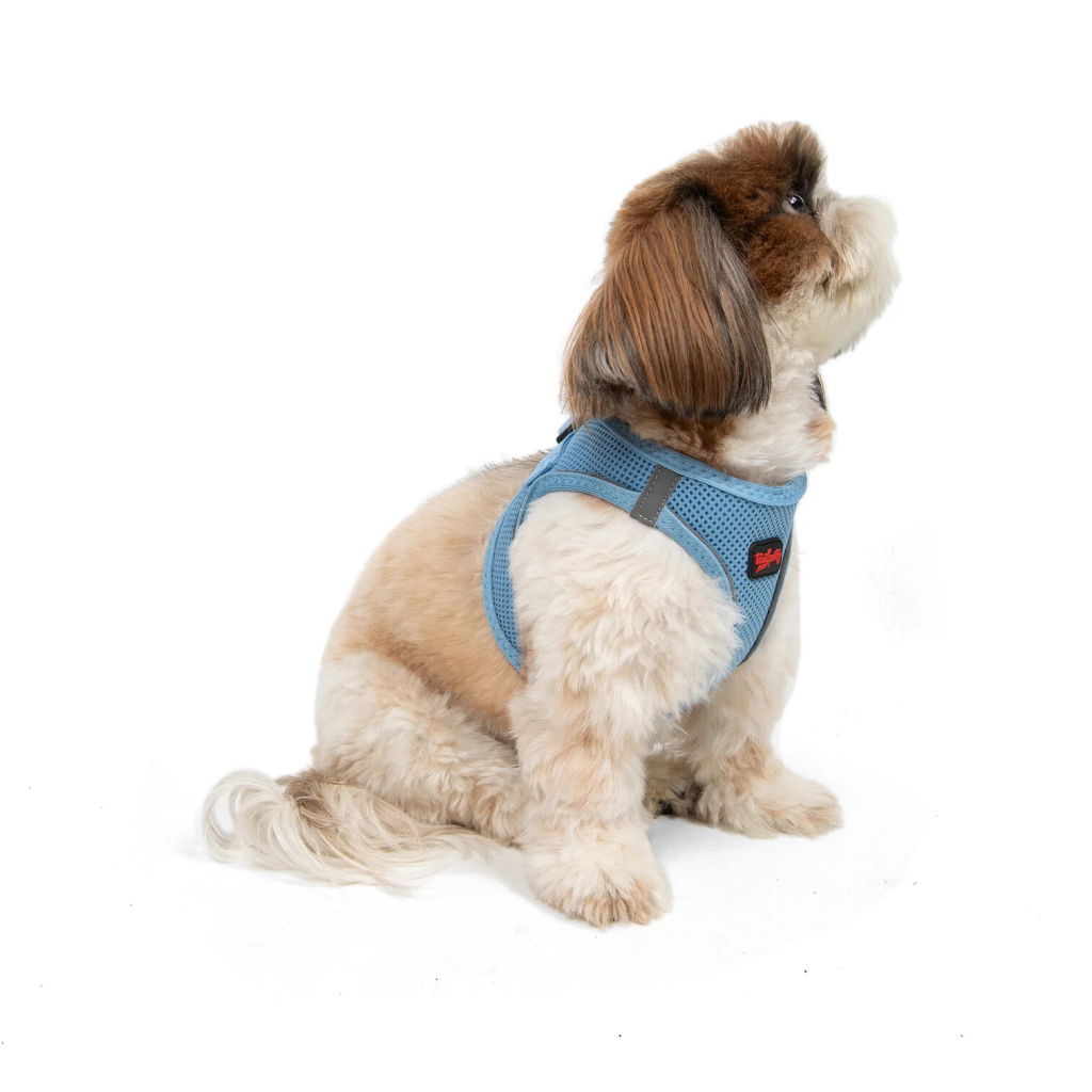 Tailpetz Air-Mesh Küçük Irk Köpek Göğüs Tasması 36-44cm (Açık Mavi) [S]