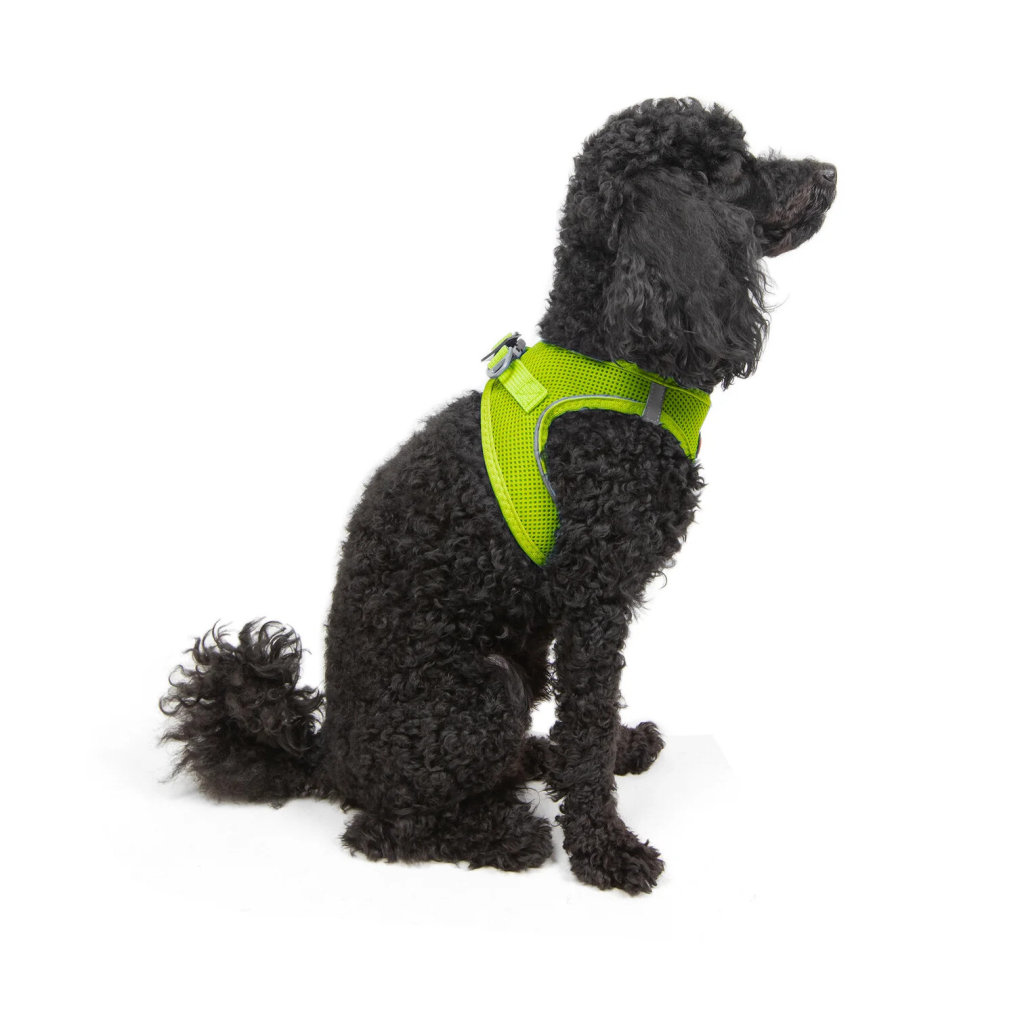 Tailpetz Air-Mesh Küçük Irk Köpek Göğüs Tasması 32-36cm (Neon Sarı) [XS]