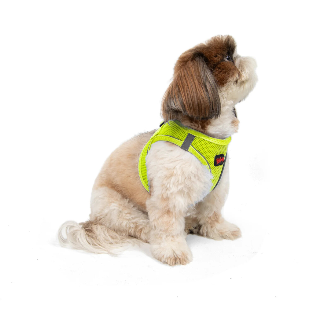 Tailpetz Air-Mesh Küçük Irk Köpek Göğüs Tasması 36-44cm (Neon Sarı) [S]