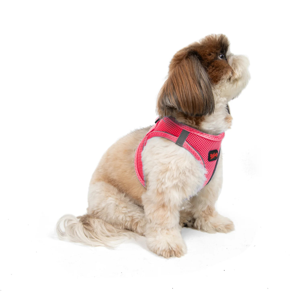 Tailpetz Air-Mesh Küçük Irk Köpek Göğüs Tasması 36-44cm (Neon Pembe) [S]