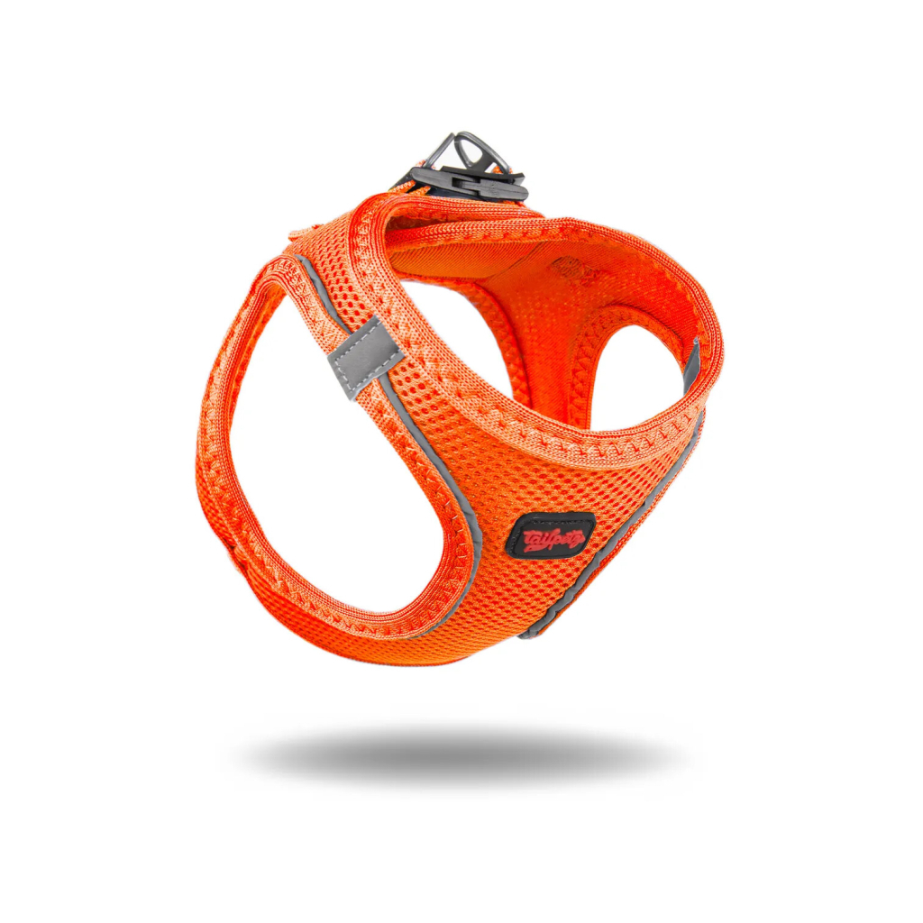 Tailpetz Air-Mesh Küçük Irk Köpek Göğüs Tasması 28-32cm (Turuncu) [2XS]