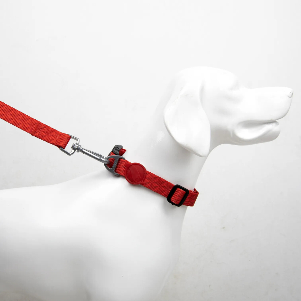 Tailpetz Prism Köpek Boyun Tasması (Kırmızı) [L]