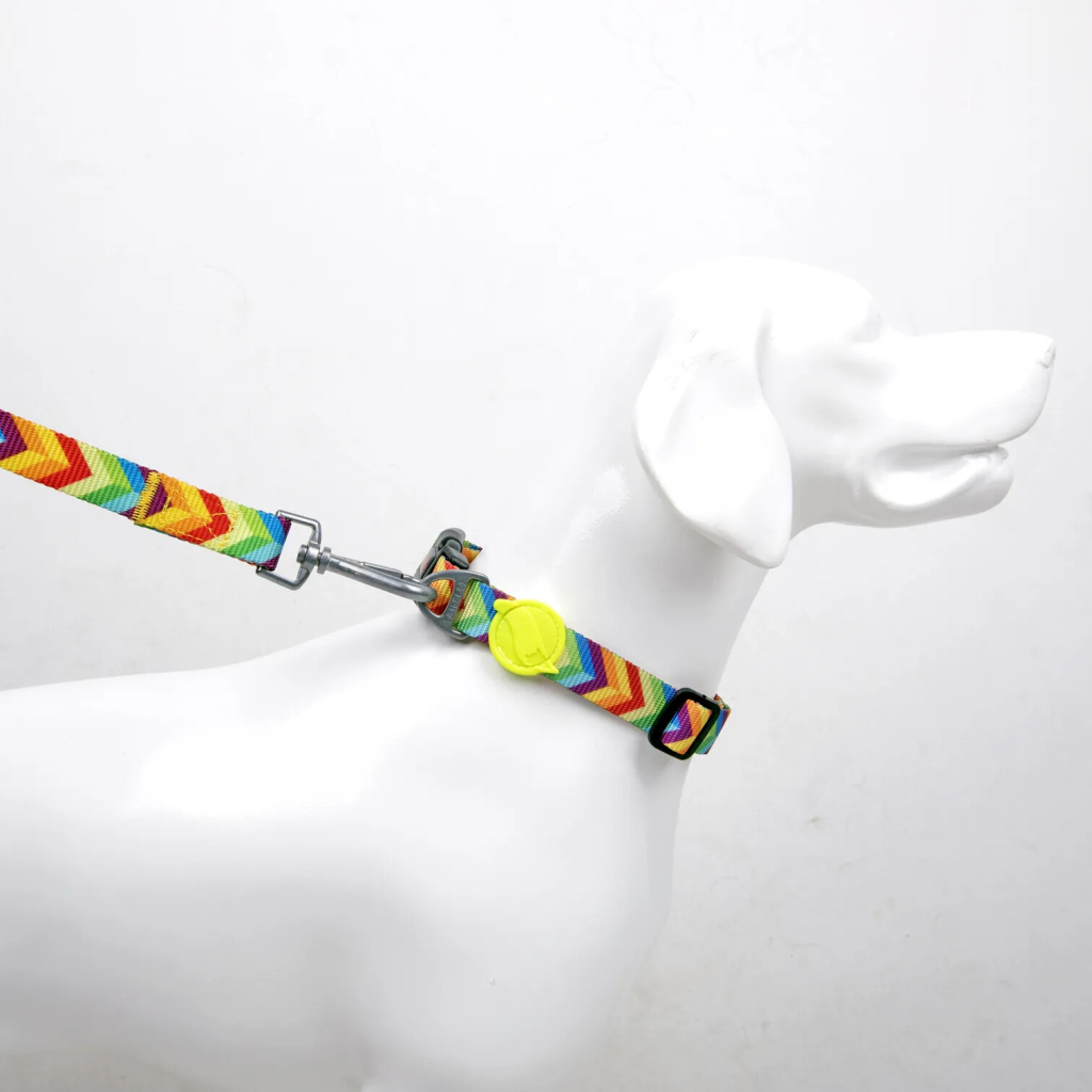 Tailpetz Rainbow Köpek Boyun Tasması [L]