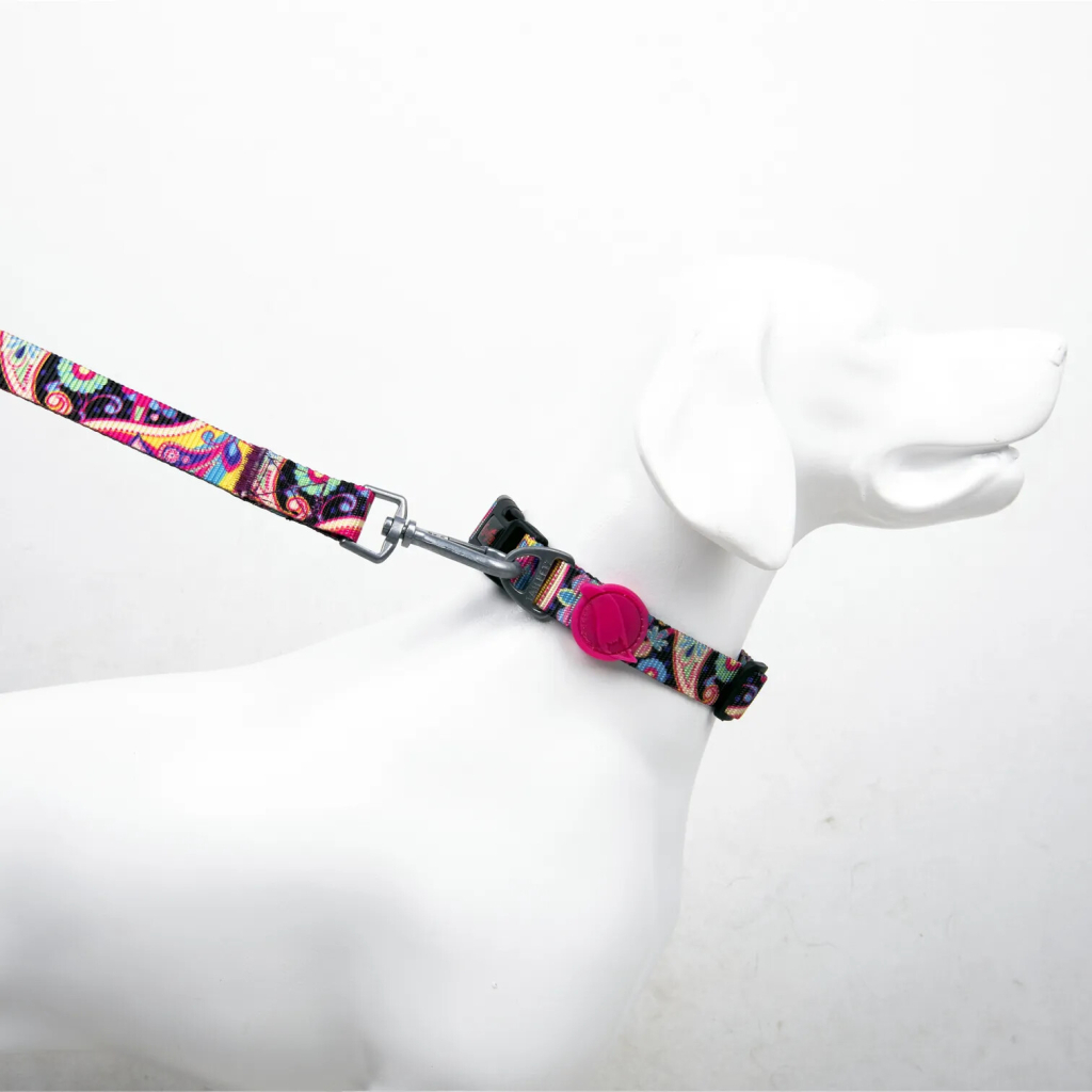 Tailpetz Paisley Köpek Boyun Tasması [M]
