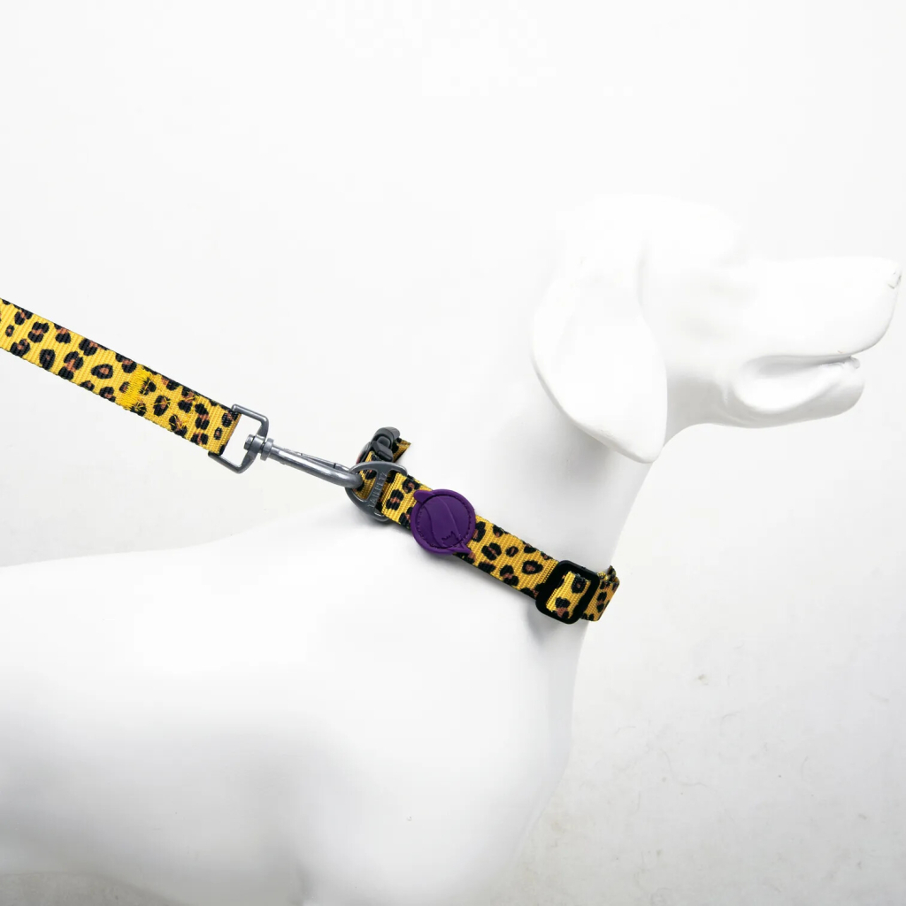 Tailpetz Leopard Köpek Boyun Tasması [M]