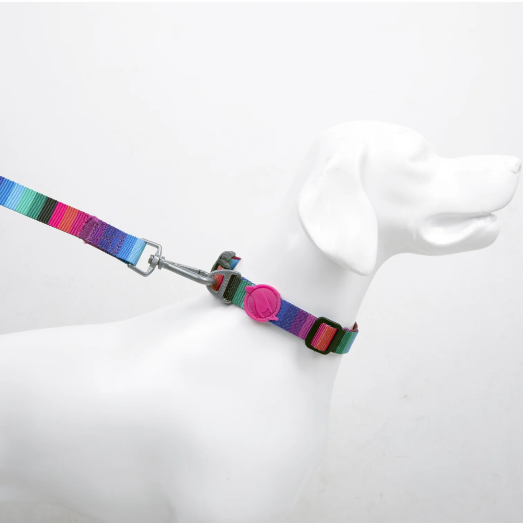 Tailpetz Wave Köpek Boyun Tasması [M]