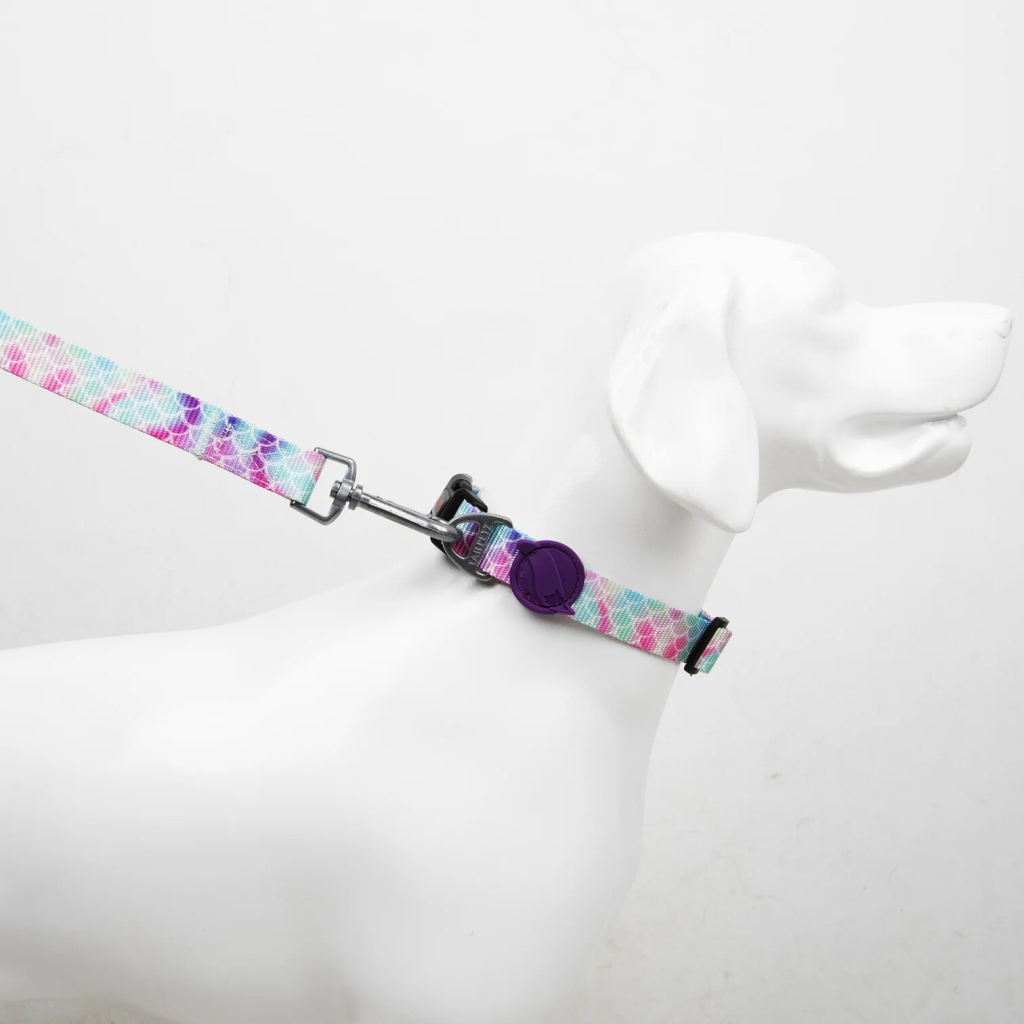 Tailpetz Bubbles Köpek Boyun Tasması [S]