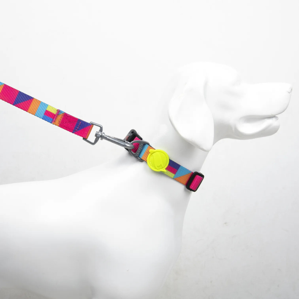 Tailpetz Spirit Köpek Boyun Tasması [S]