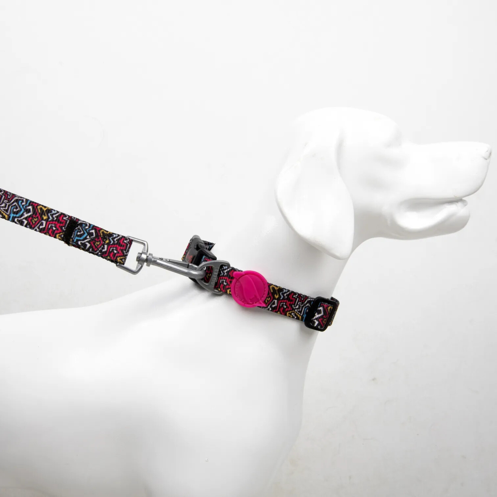 Tailpetz Graffiti Köpek Boyun Tasması [S]