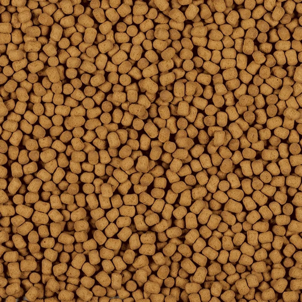 Tetra Discus Colour Renklendirici Akvaryum Diskus Balığı Granül Yemi 250ml 75gr