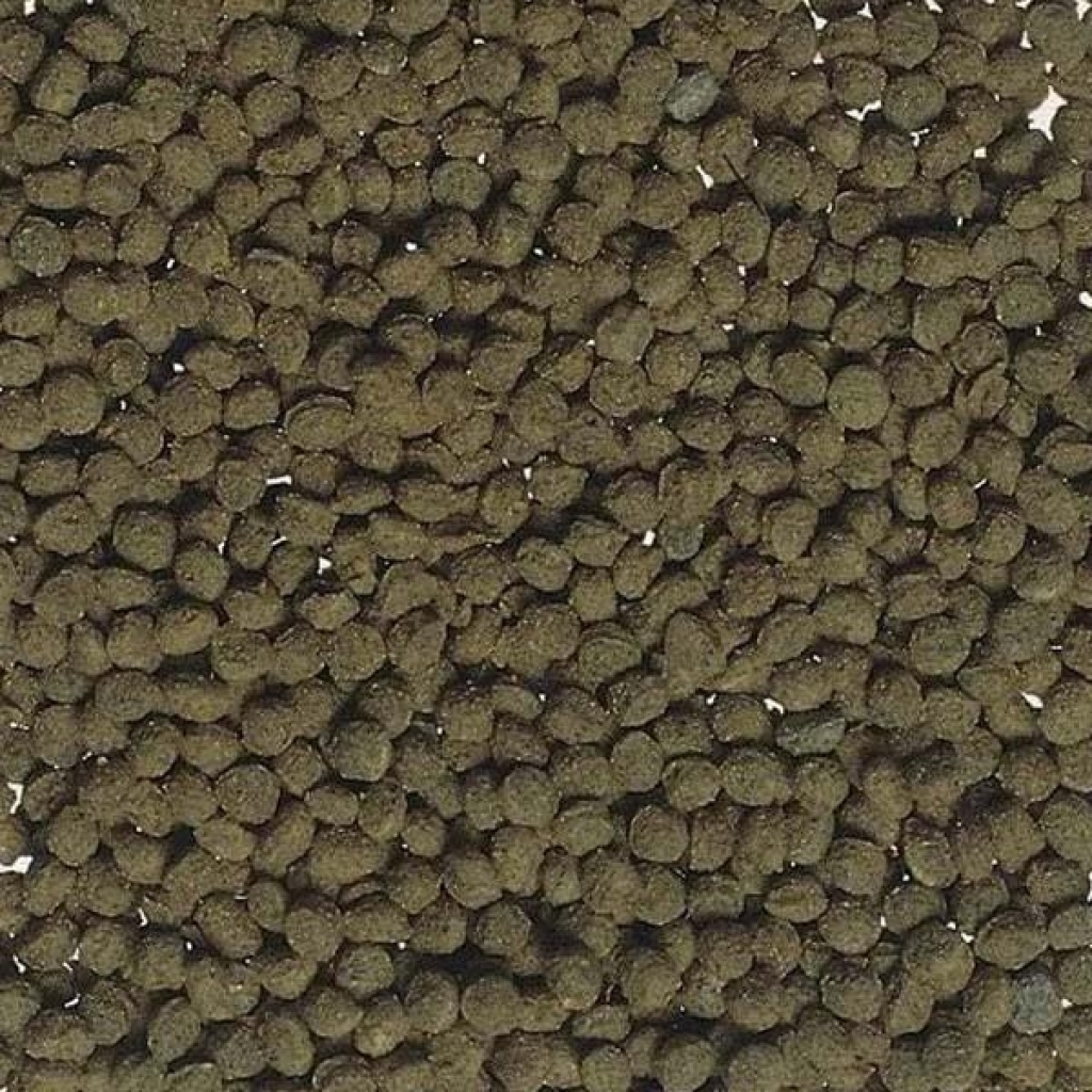 Tetra Goldfish Gold Colour Akvaryum Japon Balığı Granül Yemi 250ml 75gr
