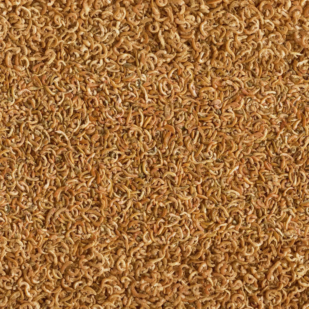 Tetra ReptoDelica Gammarus Akvaryum Su Kaplumbağası Doğal Yemi 100ml 10gr
