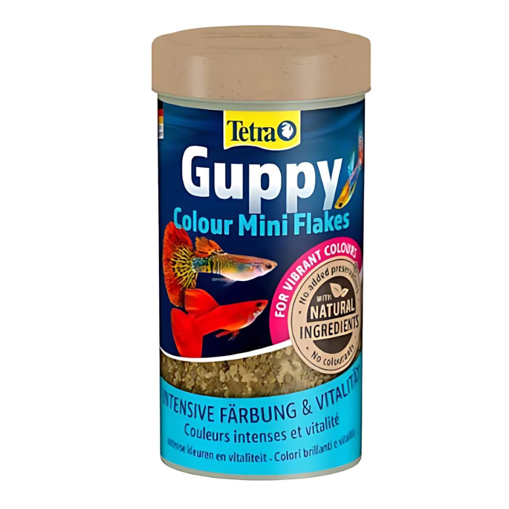 Tetra Guppy Colour Mini Doğal Renk Güçlendiricili Akvaryum Lepistes Balığı Pul Yemi 250ml 75gr