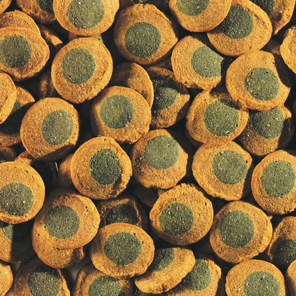 Tetra Pleco Spirulina Wafers Spirulina Yosunlu Otçul Dip Balığı Tablet Yemi 250ml 105gr