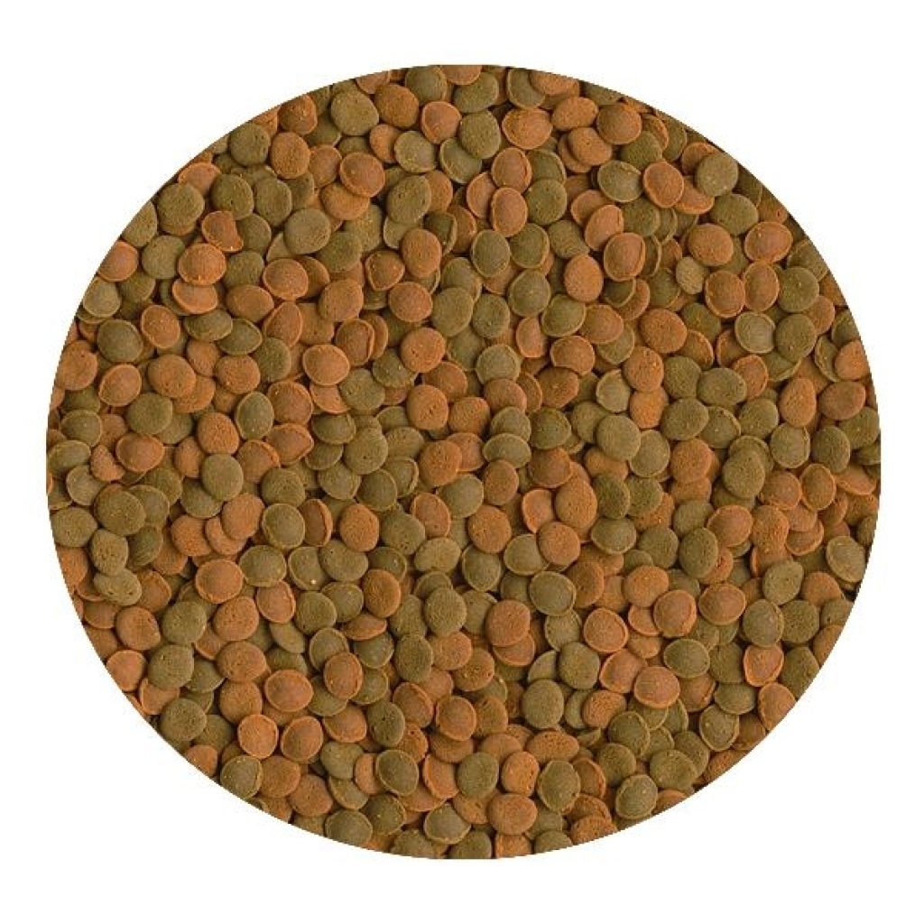 Tetra Wafer Mix Karidesli ve Spirulinalı Akvaryum Dip Balıkları ve Kabuklu Canlılar Tablet Yemi 15gr