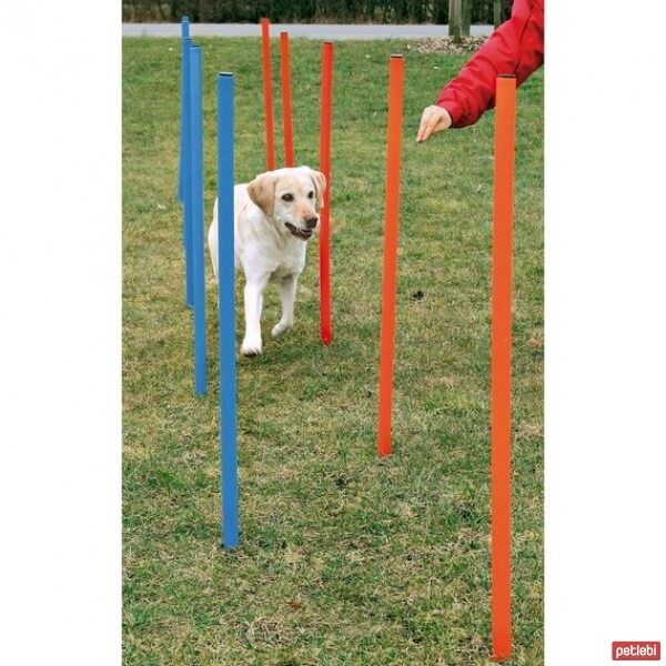 Trixie Köpek Agility Eğitim Direkleri 13x110cm (12'li)