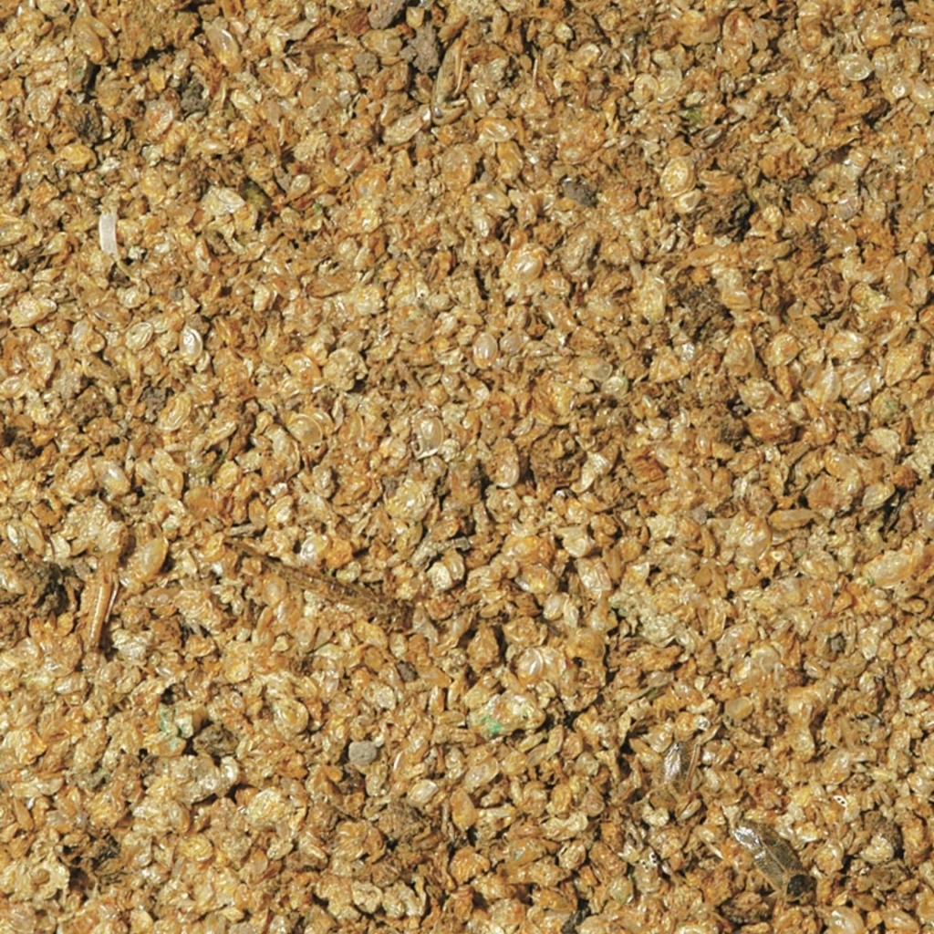 Tropical Dafnia Süs Balıkları İçin Kurutulmuş Doğal Balık Yemi 100ml 18gr