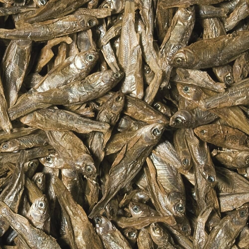 Tropical Dried Fish for Reptiles Etçil Sürüngenler İçin Kurutulmuş Doğal Yem 100ml 15gr