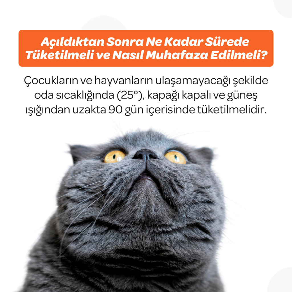 Vet's Plus C Vitamin Kedi ve Köpekler İçin Damla 50ml