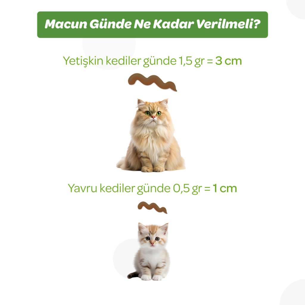 Vet's Plus Anti-Hairball Tüy Yumağı Önleyici Malt Kedi Macunu 100gr+5'li Krema Ödül HEDİYE!
