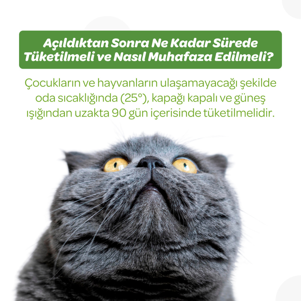 Vet's Plus Anti-Hairball Tüy Yumağı Önleyici Malt Kedi Macunu 100gr+5'li Krema Ödül HEDİYE!