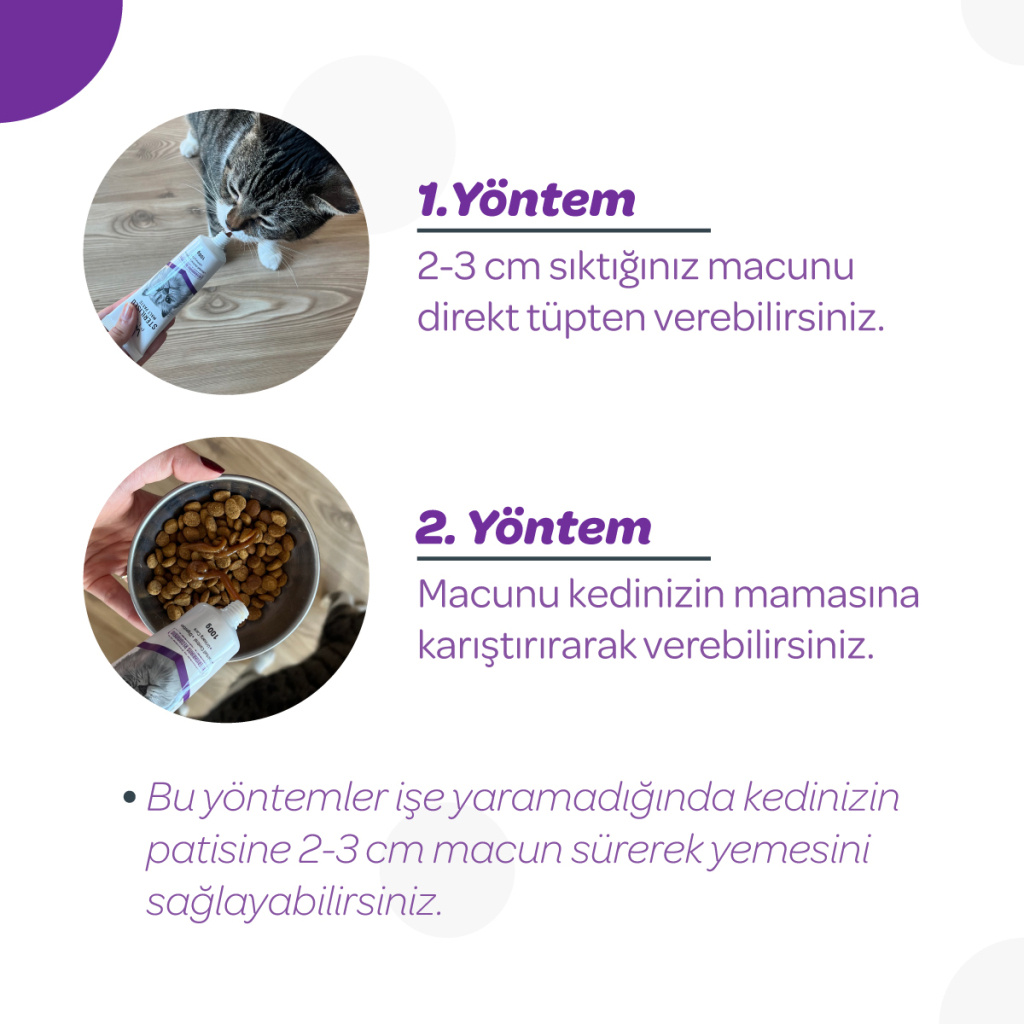 Vet's Plus Kısırlaştırılmış Kediler İçin Malt Kedi Macunu 100gr+5'li Krema Ödül HEDİYE!