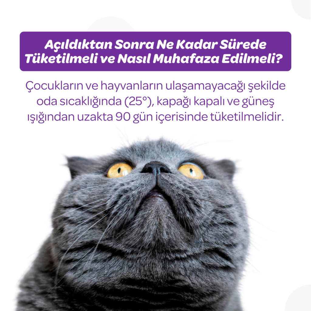 Vet's Plus Kısırlaştırılmış Kediler İçin Malt Kedi Macunu 100gr+5'li Krema Ödül HEDİYE!