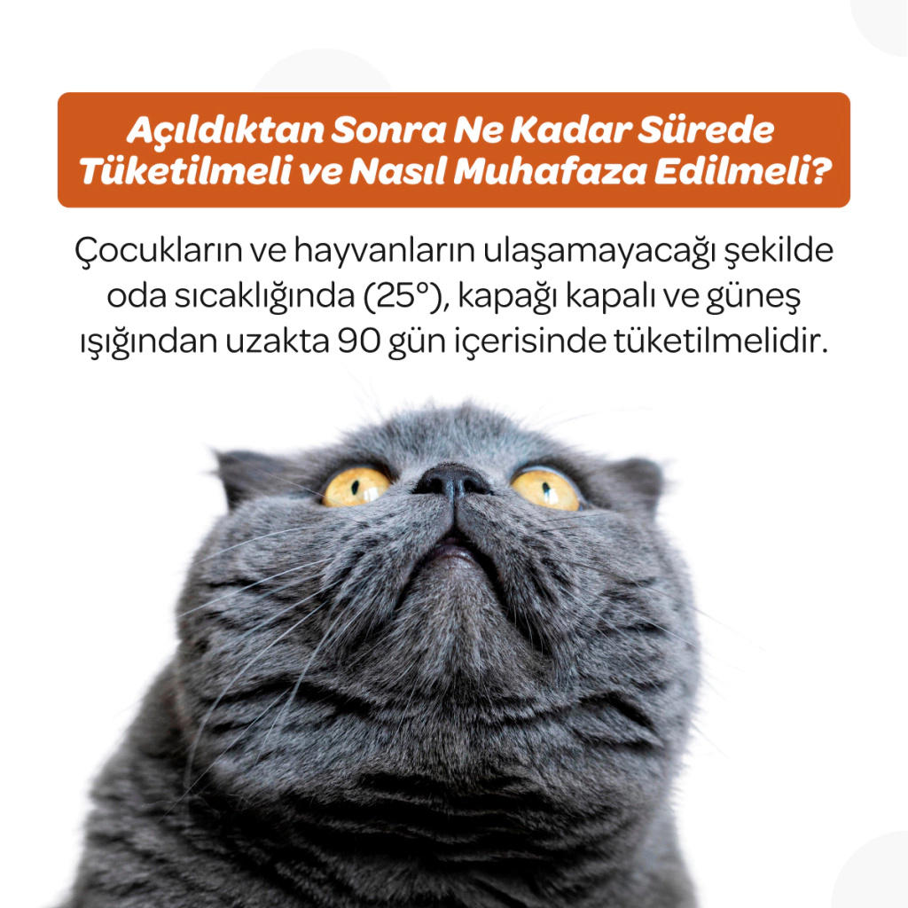 Vet's Plus Immune Kedi ve Köpekler İçin Bağışıklık Sistemi Destekleyici Çiğnenebilir Tablet (60'lı)