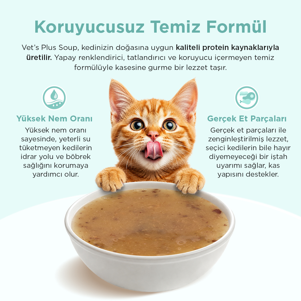 Vet's Plus Ton Balıklı ve Karidesli Tahılsız Kedi Çorbası 50gr (12 Adet)
