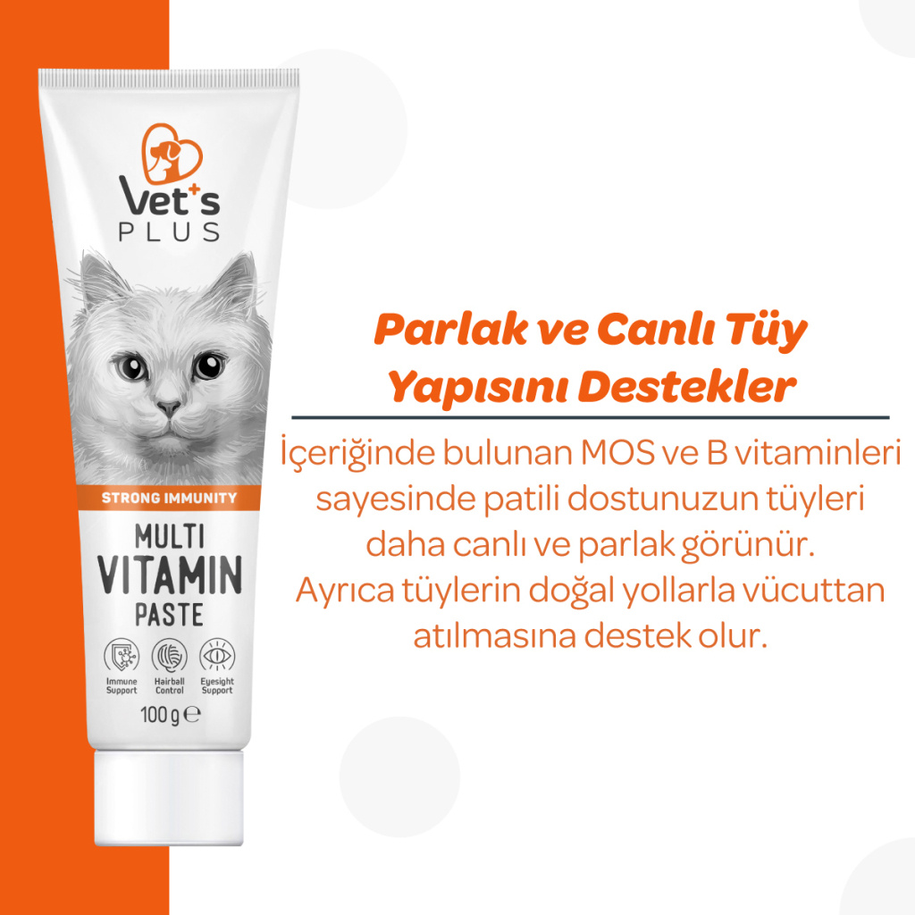 Vet's Plus Multi-Vitamin Taurinli Malt Kedi Macunu 100gr+5'li Krema Ödül HEDİYE!