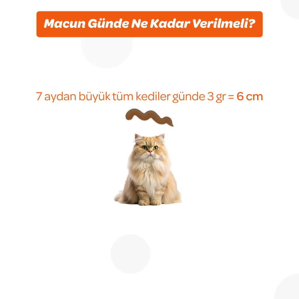 Vet's Plus Multi-Vitamin Taurinli Malt Kedi Macunu 100gr+5'li Krema Ödül HEDİYE!