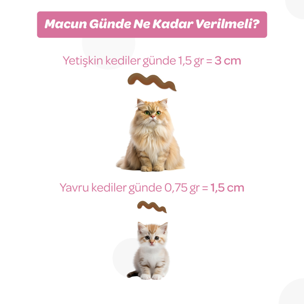 Vet's Plus Hamile ve Yavru Kediler için Multivitamin Malt Kedi Macunu 100gr+5'li Krema Ödül HEDİYE!