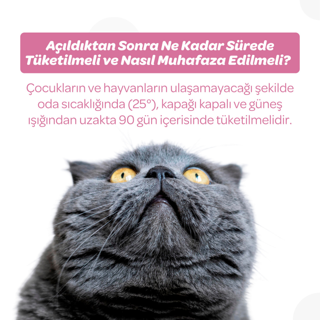 Vet's Plus Hamile ve Yavru Kediler için Multivitamin Malt Kedi Macunu 100gr+5'li Krema Ödül HEDİYE!