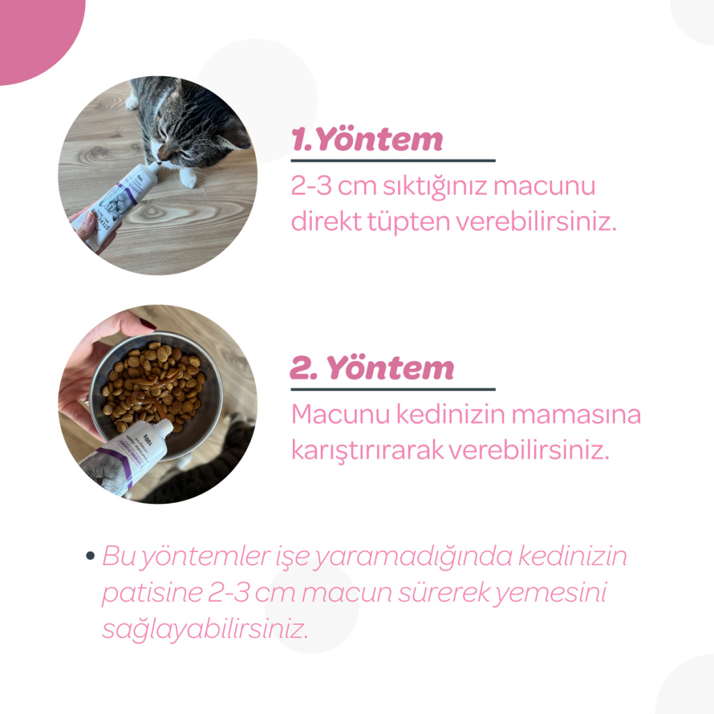 Vet's Plus Hamile ve Yavru Kediler için Multivitamin Malt Kedi Macunu 100gr+5'li Krema Ödül HEDİYE!